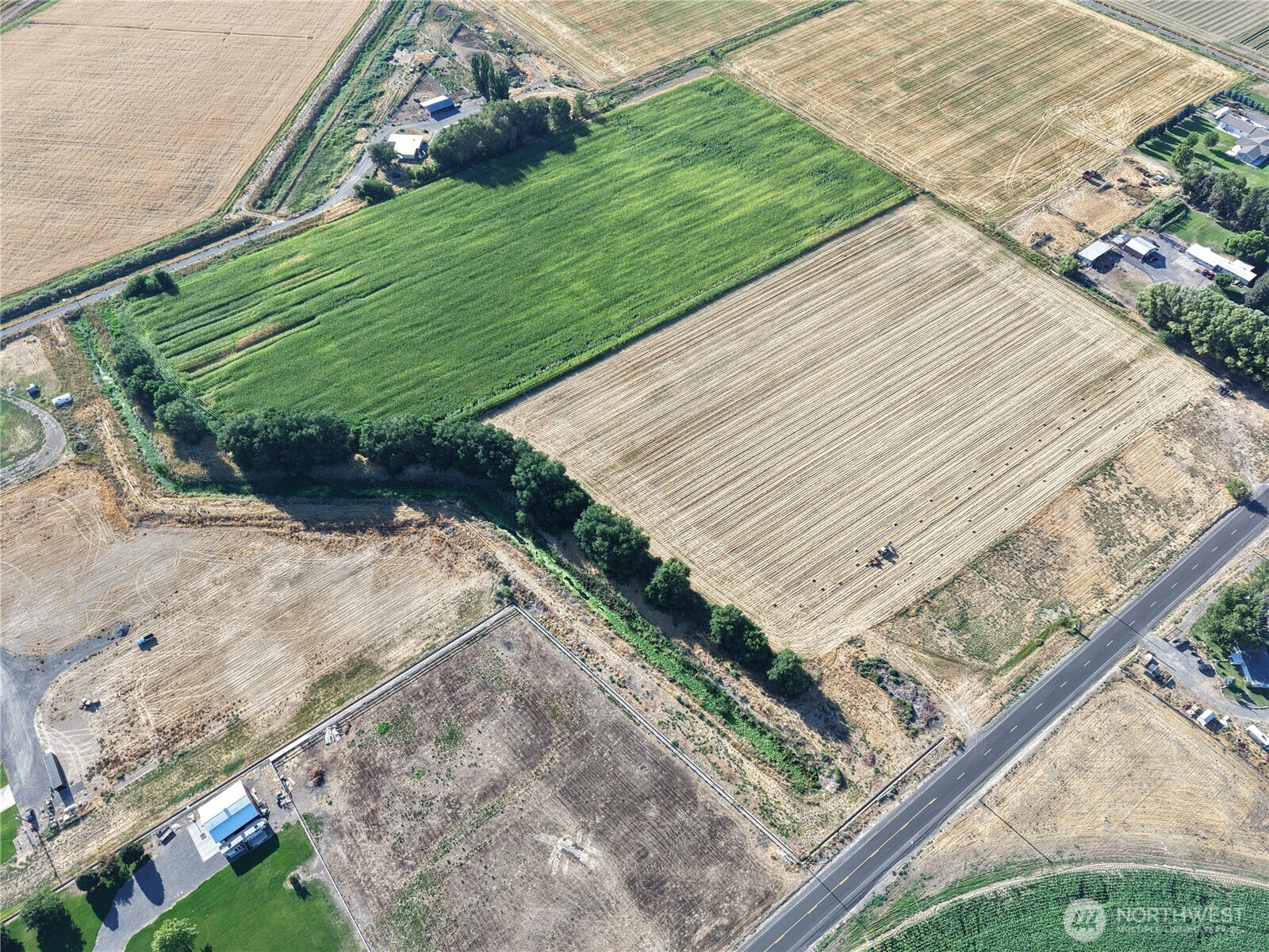 0 South McKinney Road Othello, WA 99344 - Photo 8 of 10 a view of a backyard with plants