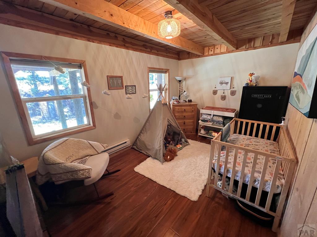 10421 Linger Longer Lane Rye, CO 81069 - Photo 18 of 46