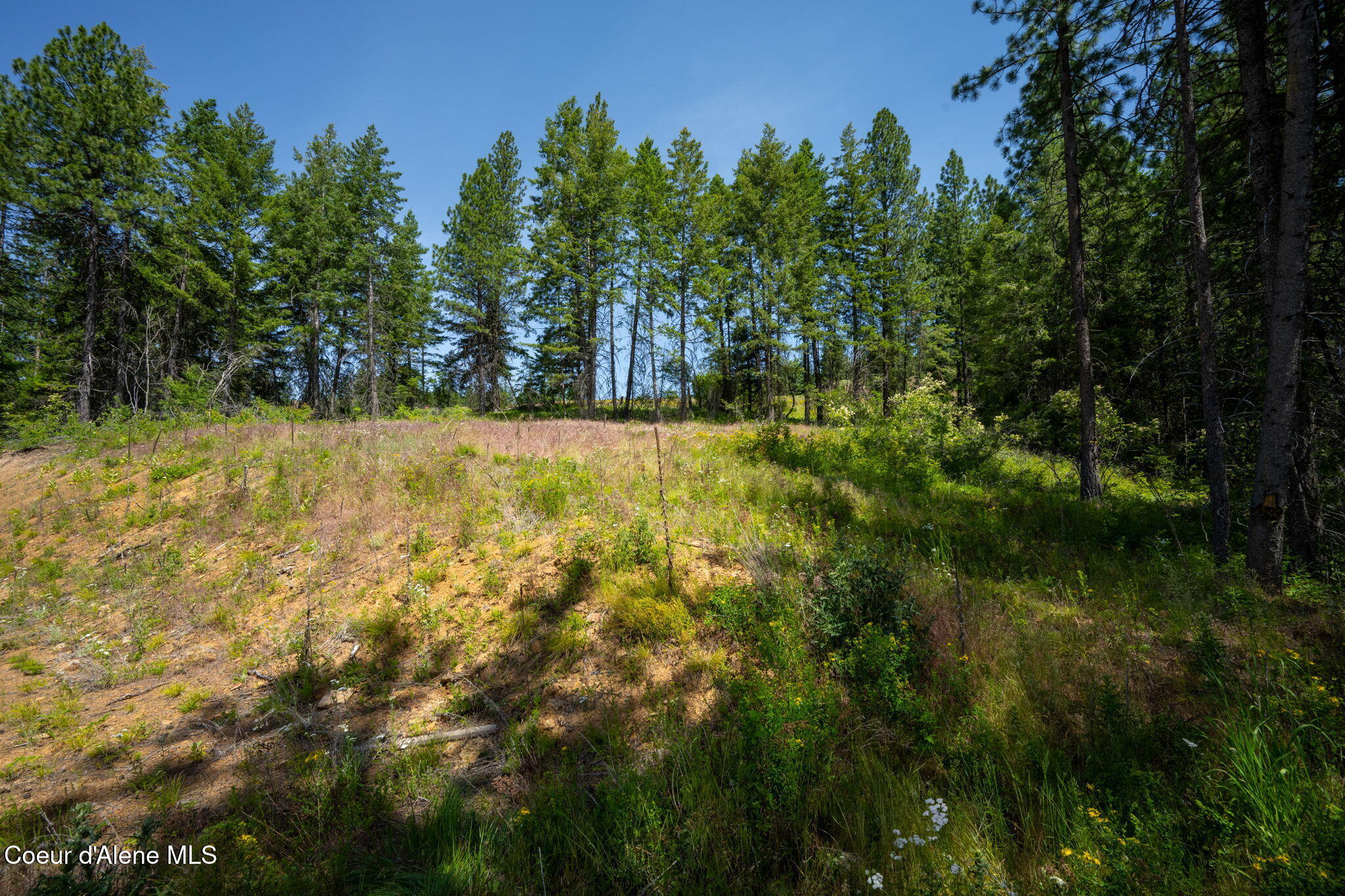 2089 Tower Mountain Road Blanchard, ID 83804 - Photo 28 of 35 35-web-or-mls-DSC_5660