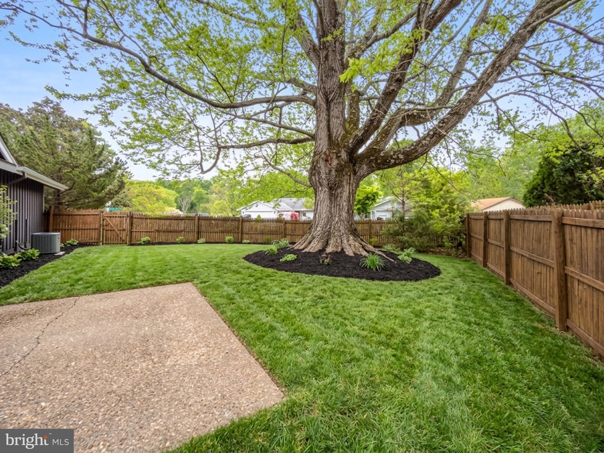 14900 Hydrus Road Silver Spring, MD 20906 - Photo 25 of 30 Lush backyard with a majestic tree.