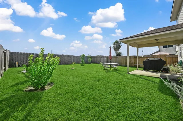 a view of a backyard