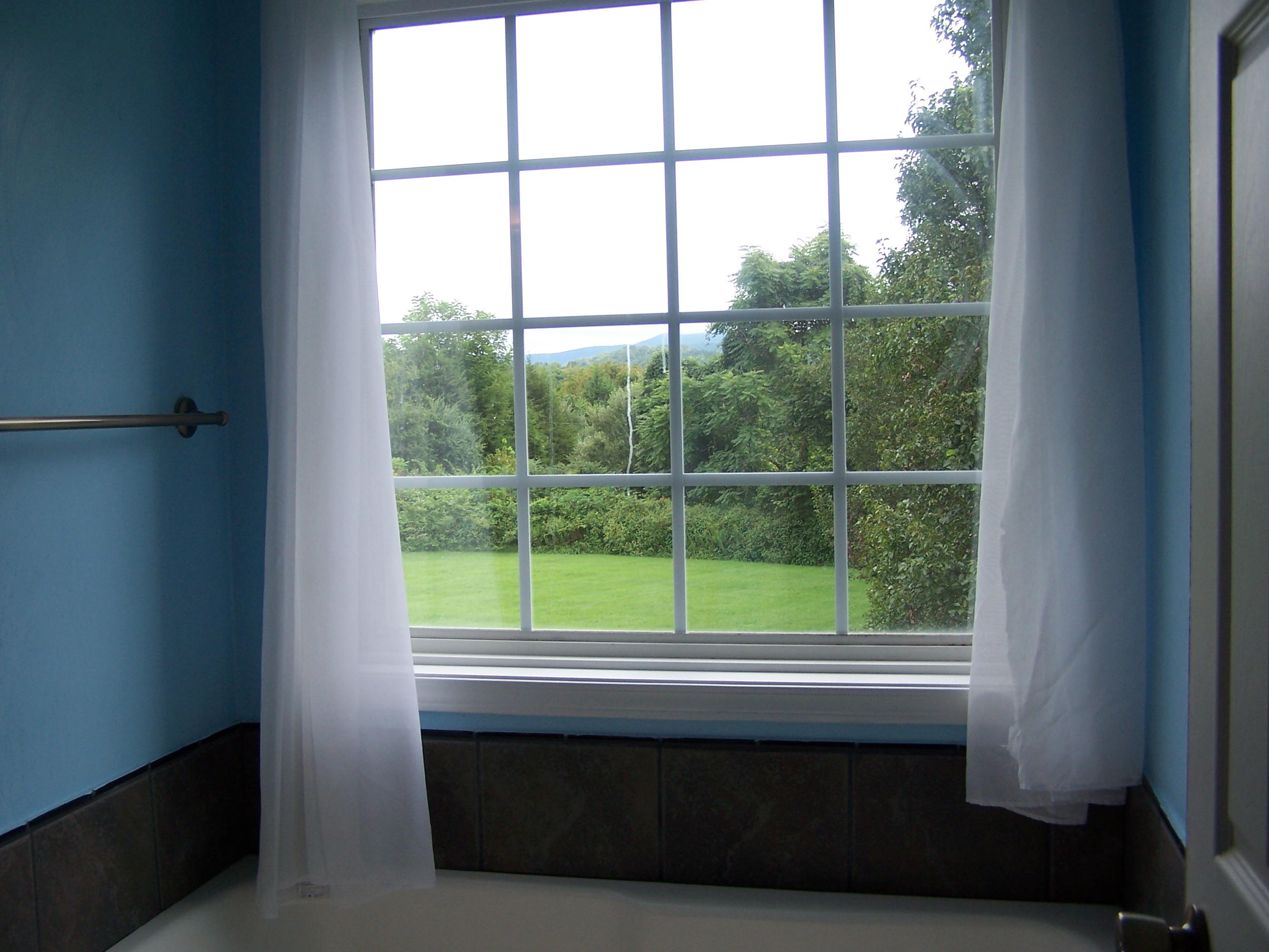 1305 Prease Road Buchanan, VA 24066 - Photo 16 of 36 Master Bath Tub