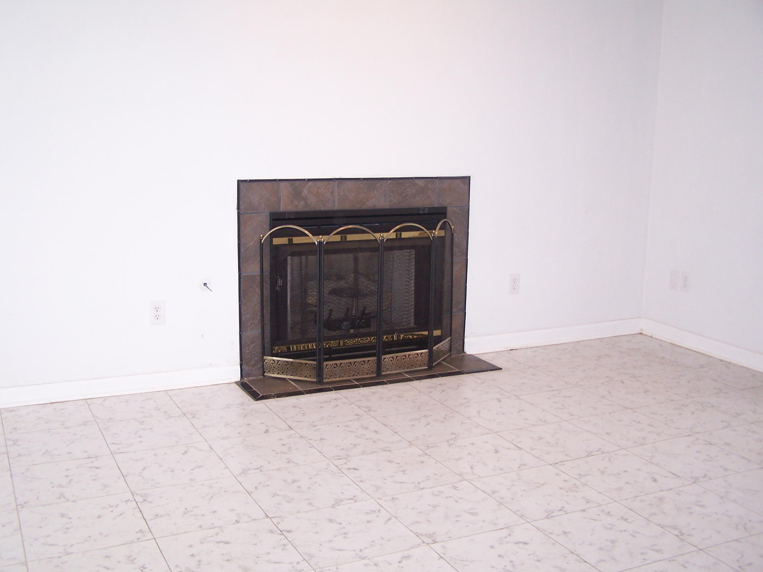 1305 Prease Road Buchanan, VA 24066 - Photo 25 of 36 Gas Log Fireplace