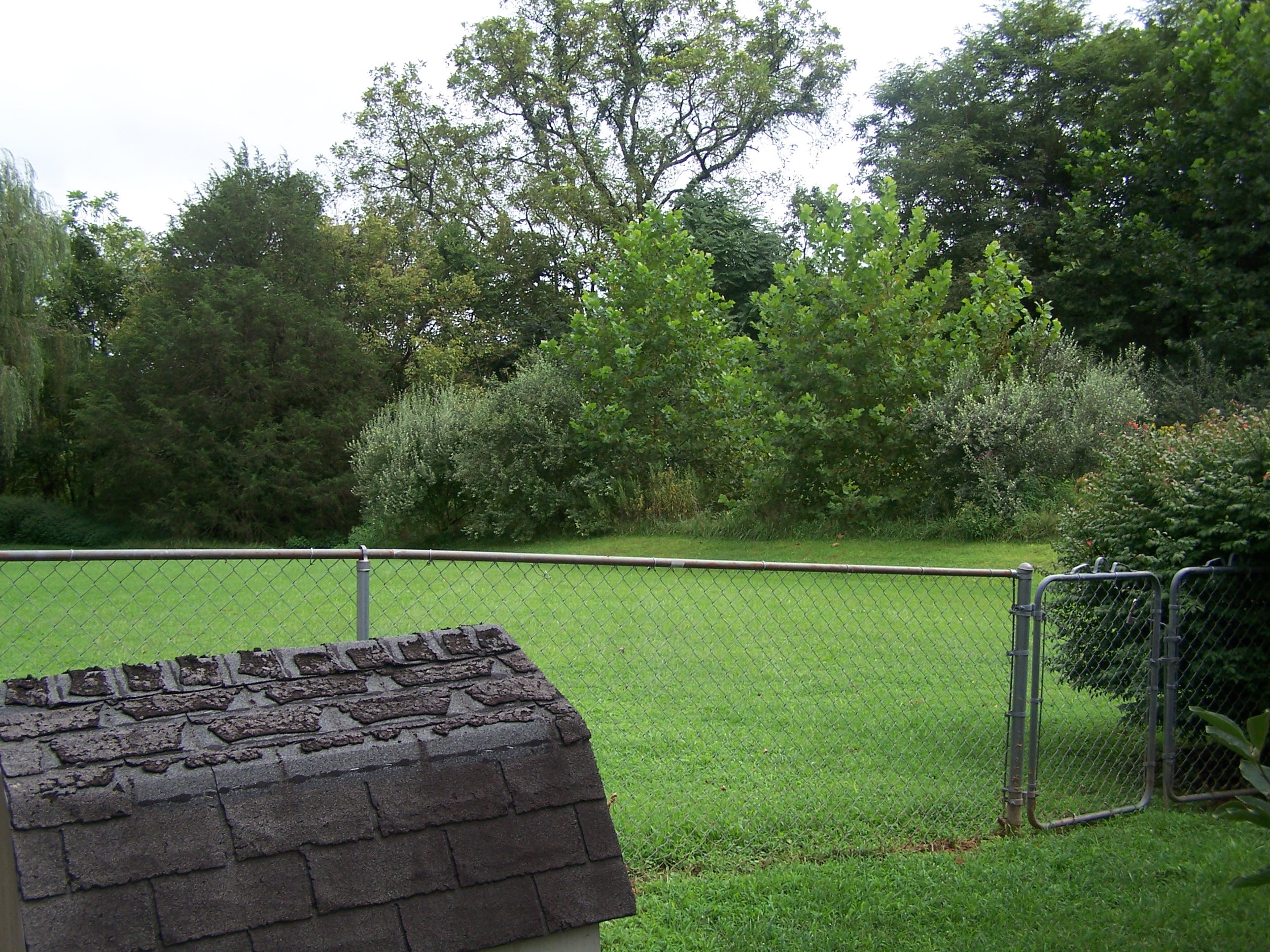 1305 Prease Road Buchanan, VA 24066 - Photo 27 of 36 Fenced Area