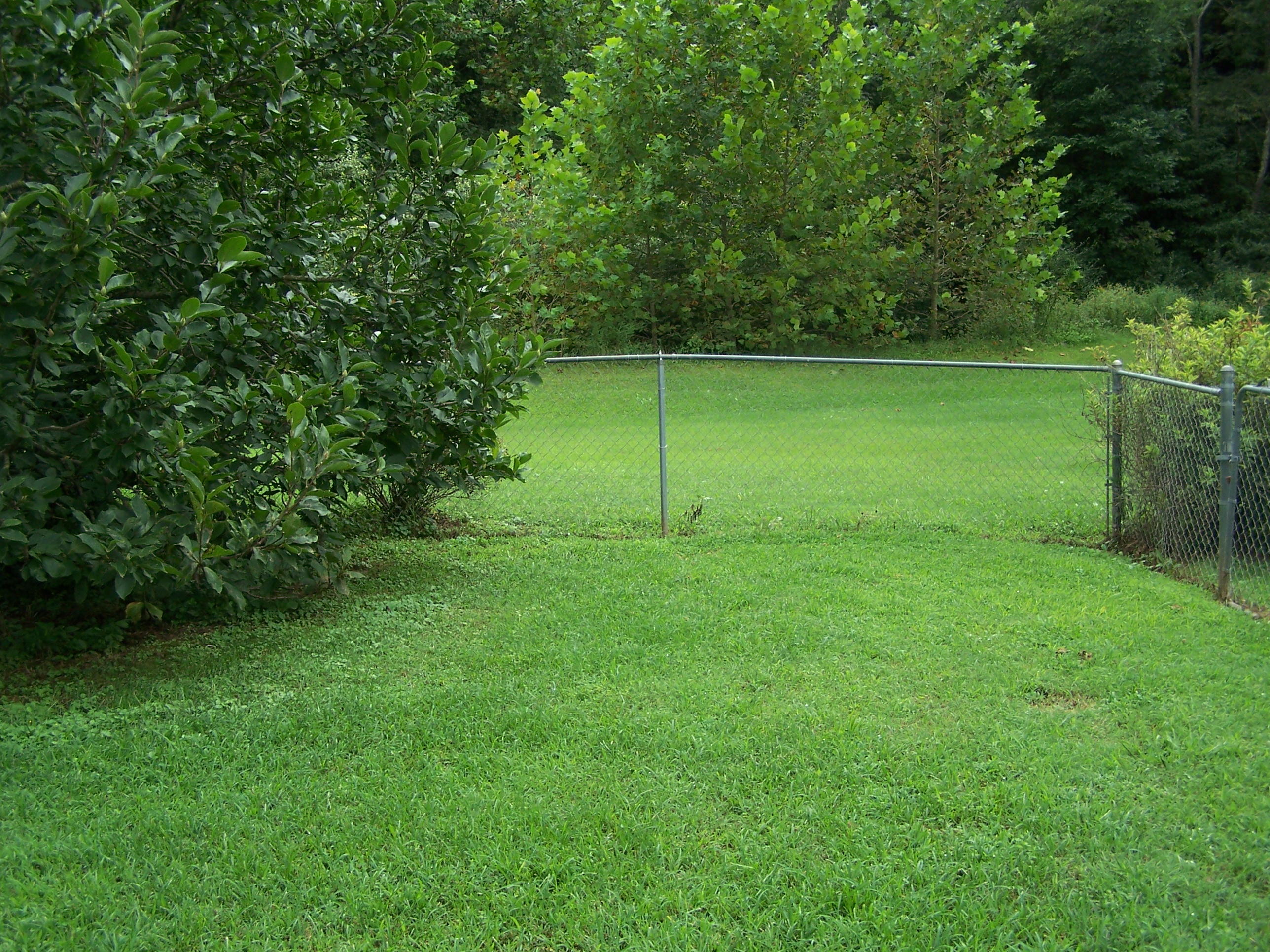 1305 Prease Road Buchanan, VA 24066 - Photo 29 of 36 Yard