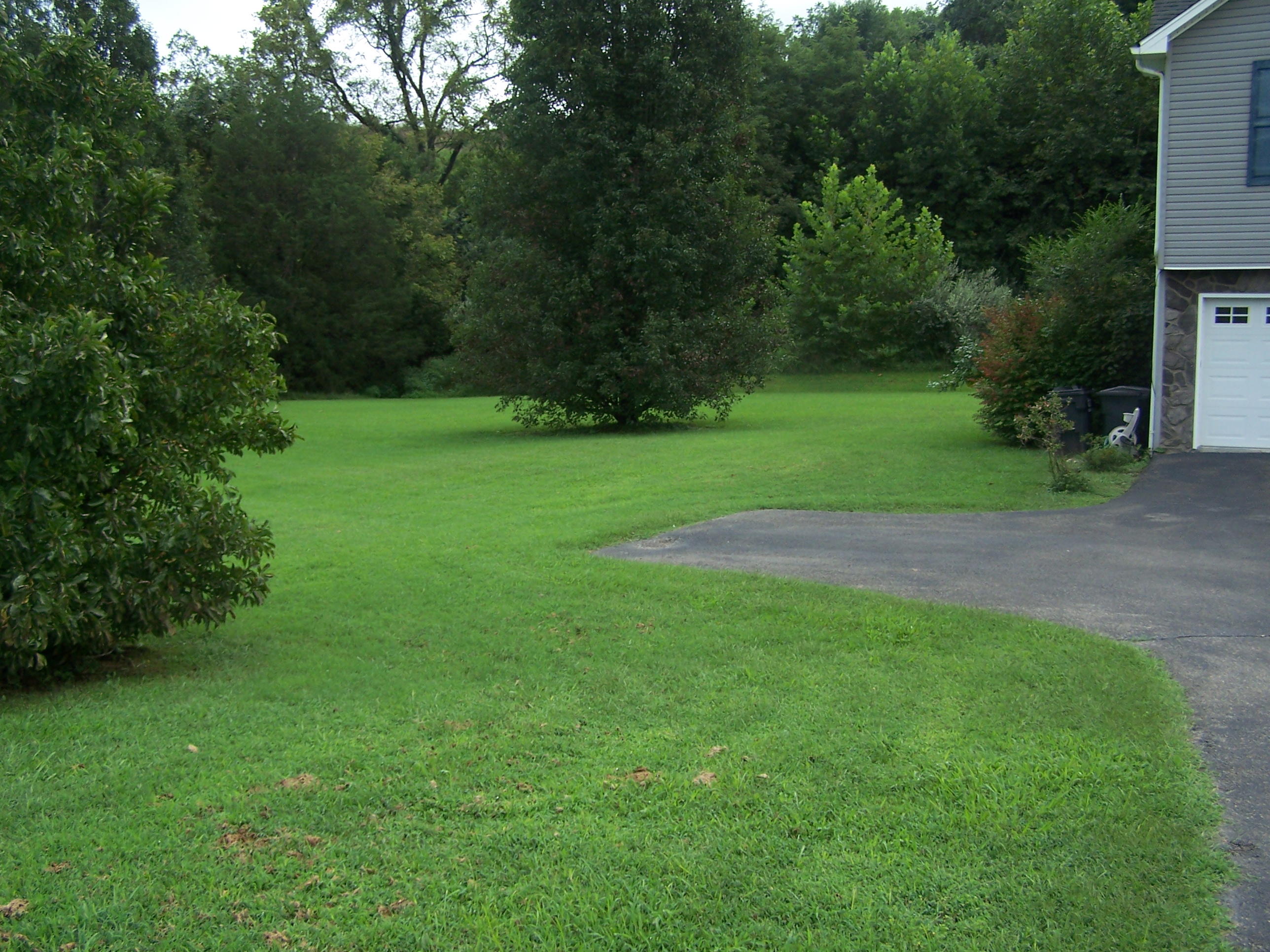 1305 Prease Road Buchanan, VA 24066 - Photo 4 of 36 Side Yard