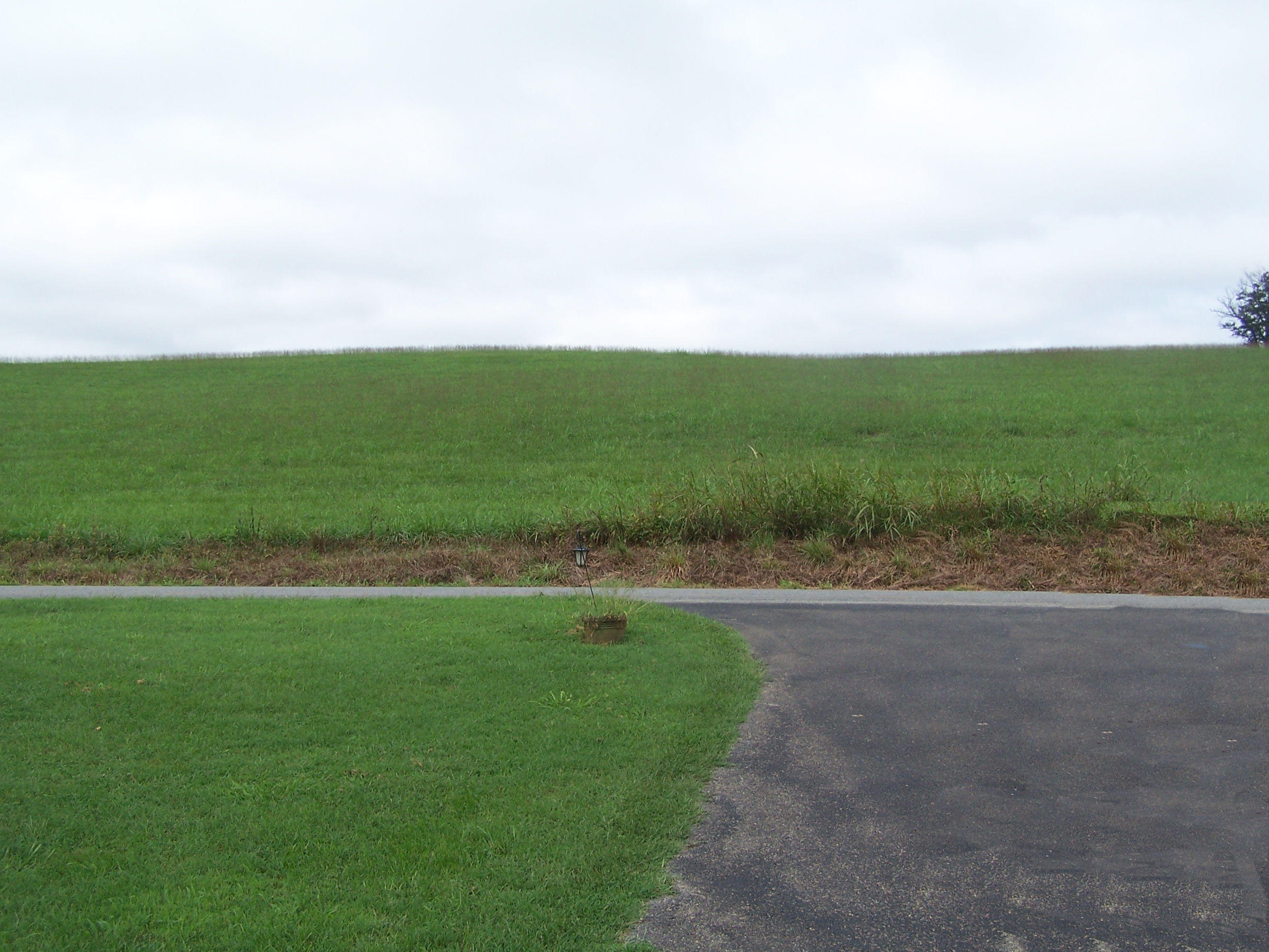 1305 Prease Road Buchanan, VA 24066 - Photo 36 of 36 View from house