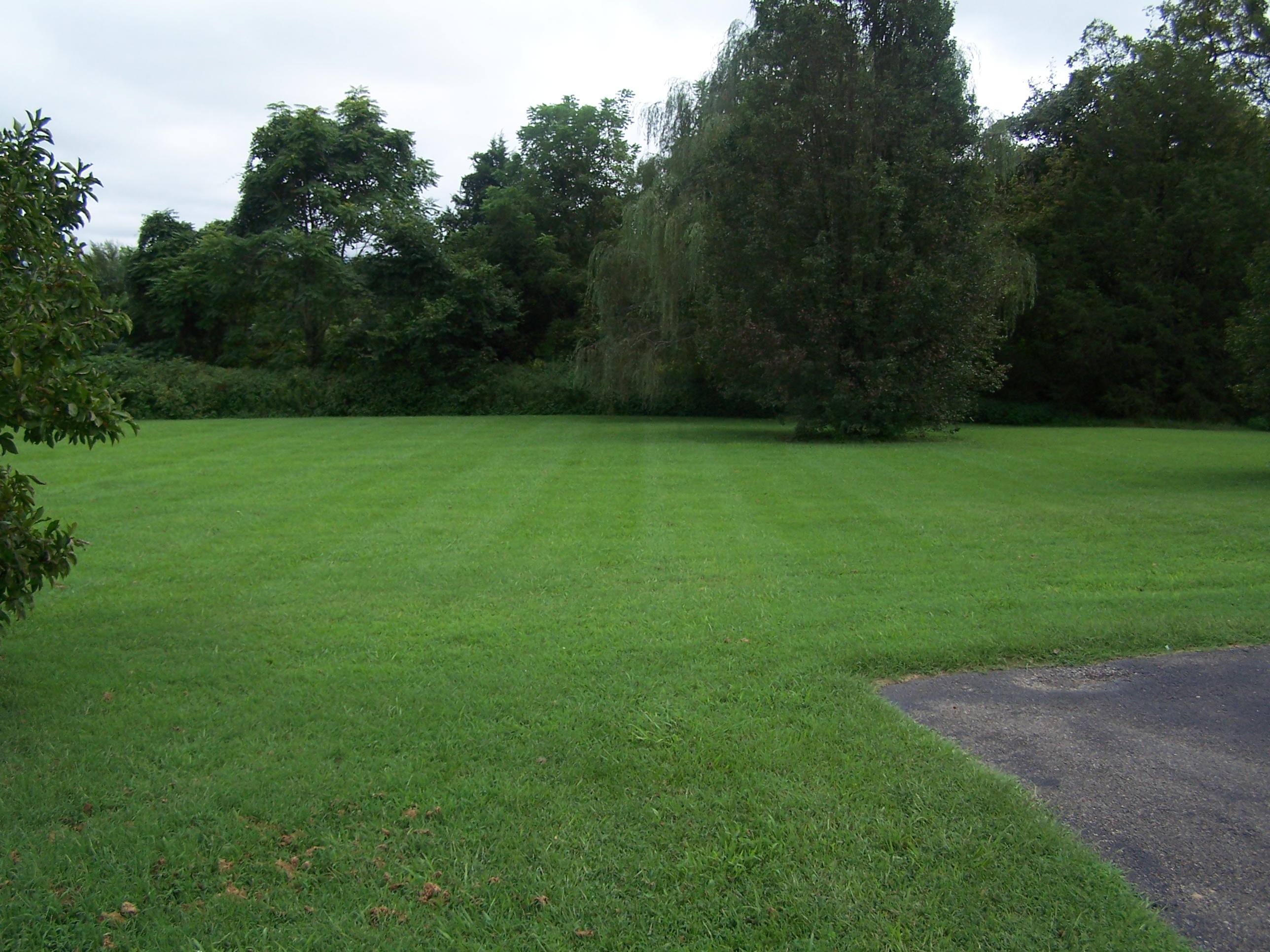 1305 Prease Road Buchanan, VA 24066 - Photo 6 of 36 Yard at end of driveway