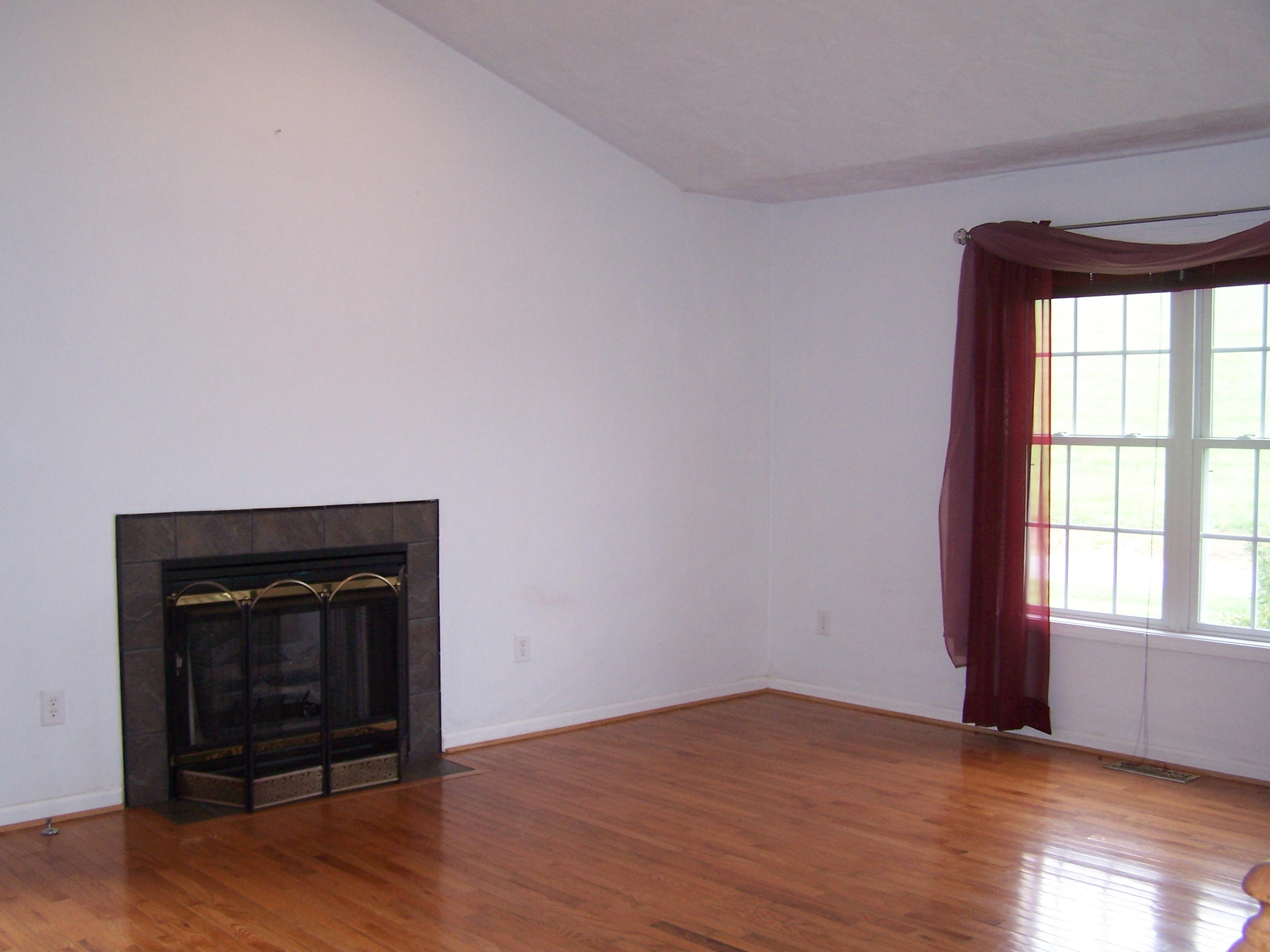 1305 Prease Road Buchanan, VA 24066 - Photo 7 of 36 Gas Log Fireplace