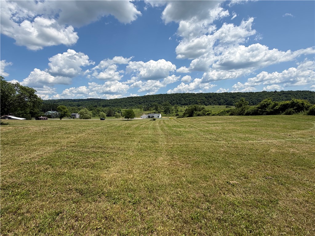 Middle Road Horseheads, NY 14845 - Photo 4 of 12 View to road from upper part of land