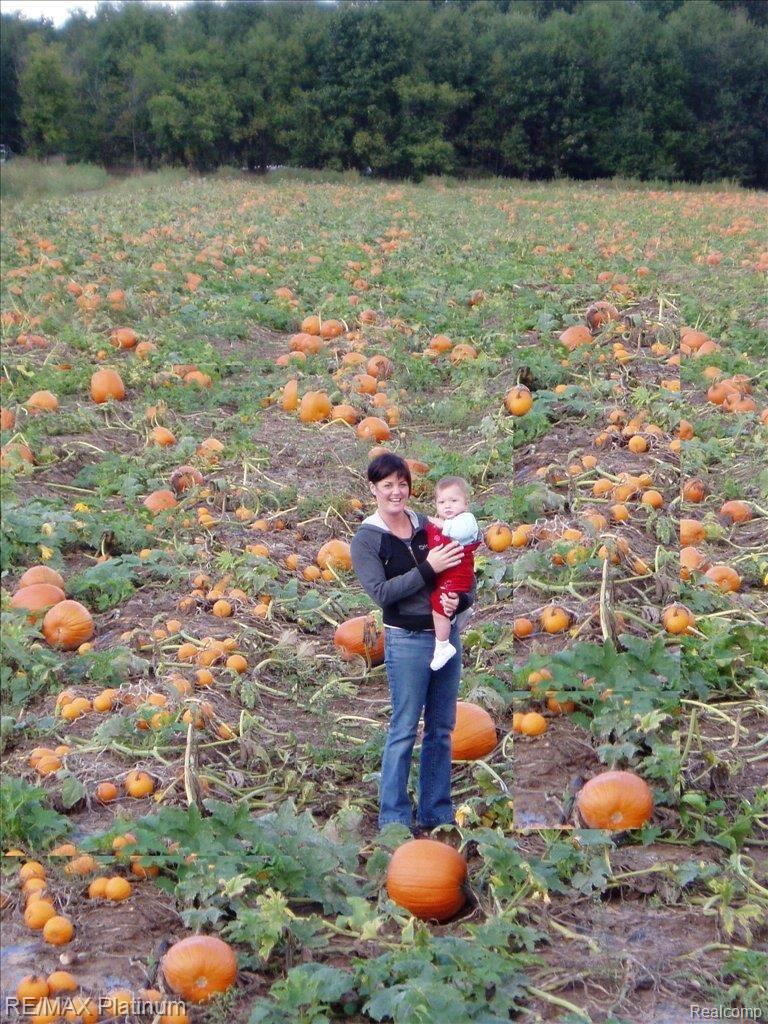 3232 County Farm Road Howell, MI 48843 - Photo 3 of 10 Pumpkin Patch