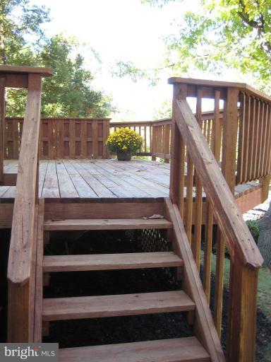 3510 Kings Cross Road Alexandria, VA 22303 - Photo 7 of 22 Deck