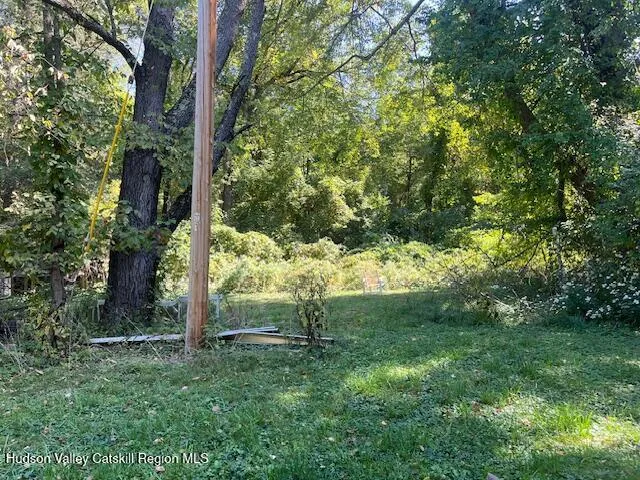 a view of a tree in a yard