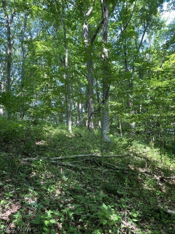 Staats Road Howard, OH 43028 - Photo 3 of 11