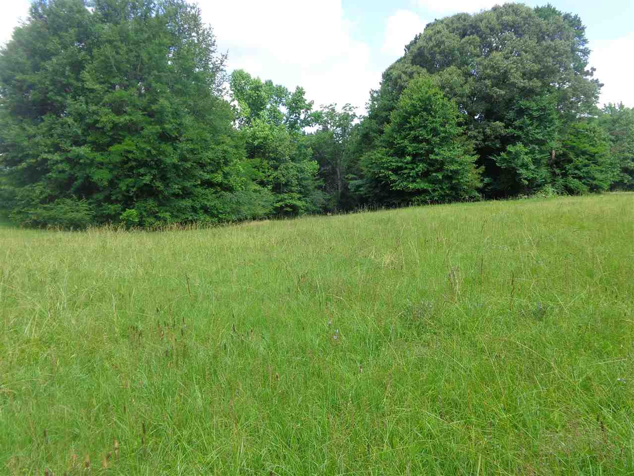 1115 Utica Road Crystal Springs, MS 39059 - Photo 47 of 49 Photo 48