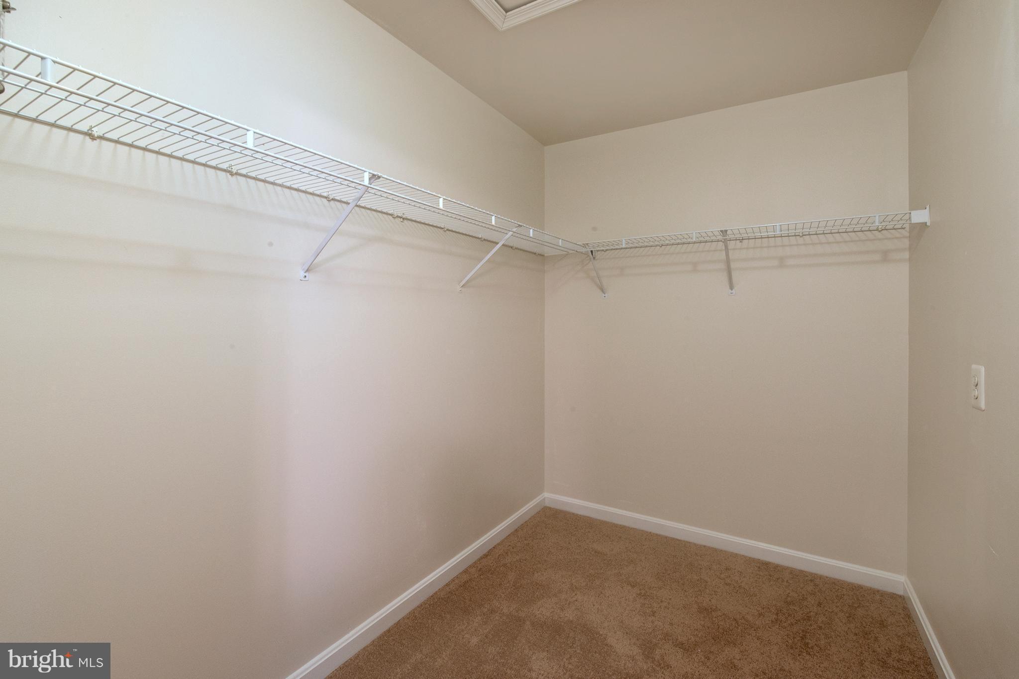 742 Shallow Ridge Court Abingdon, MD 21009 - Photo 15 of 21 Bedroom (Master)