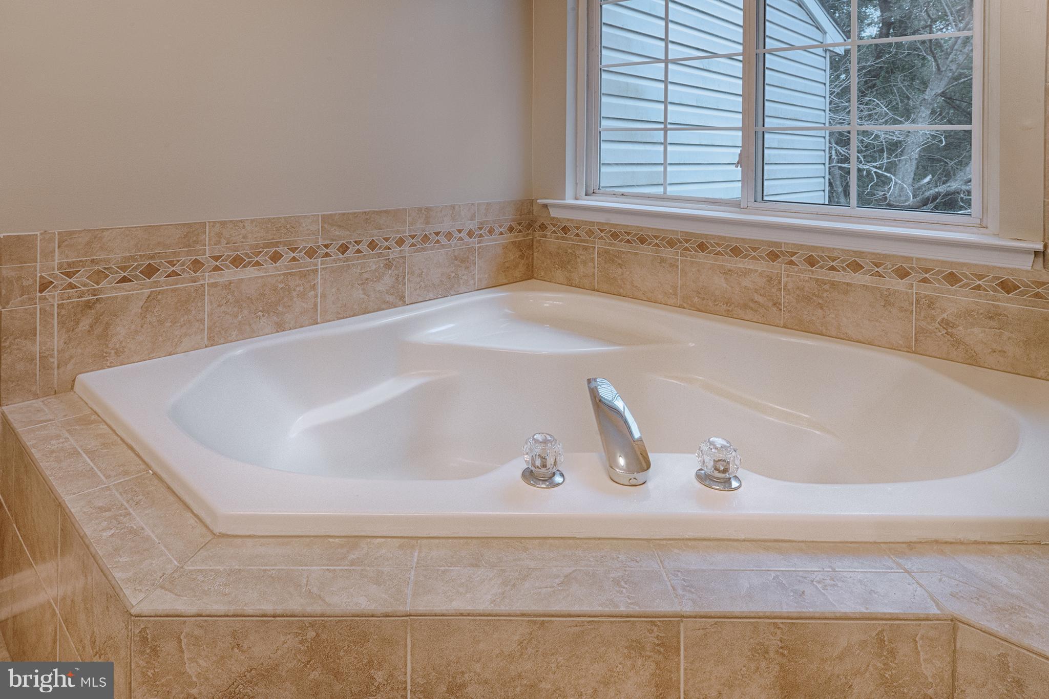 742 Shallow Ridge Court Abingdon, MD 21009 - Photo 16 of 21 Bath (Master)