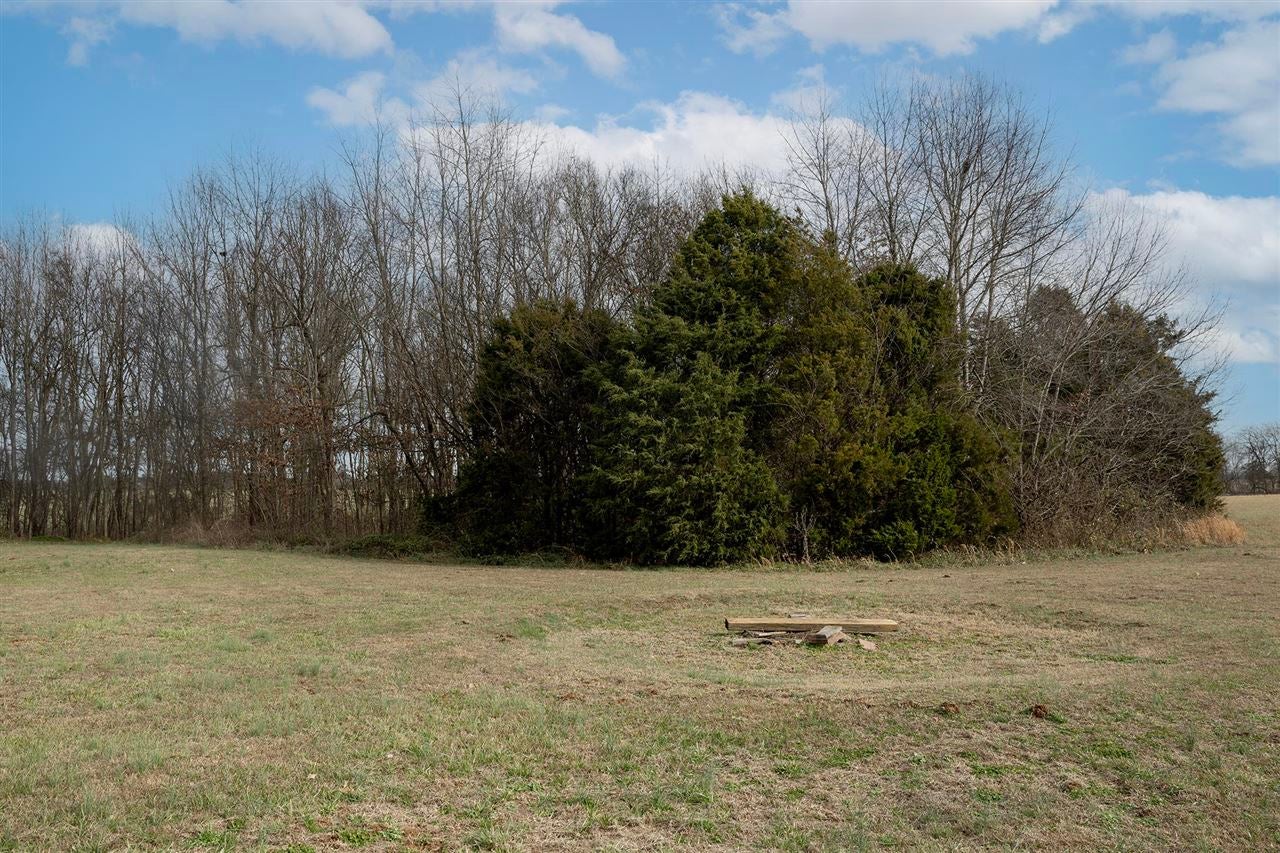 220 West Bogle Road Rockfield, KY 42274 - Photo 29 of 36 Gallery Image 29