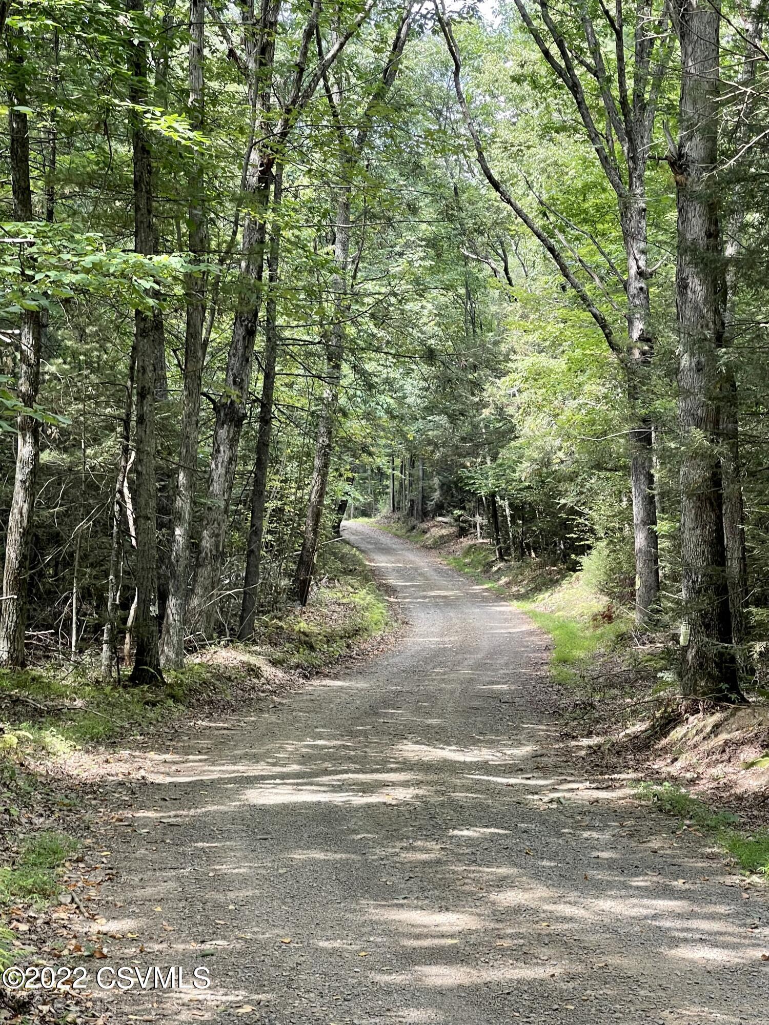 Hill Road Millville, PA 17846 - Photo 10 of 11