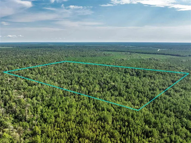 $50,000 | 0 Hwy 389 Dequincy La, Singer, LA 70660