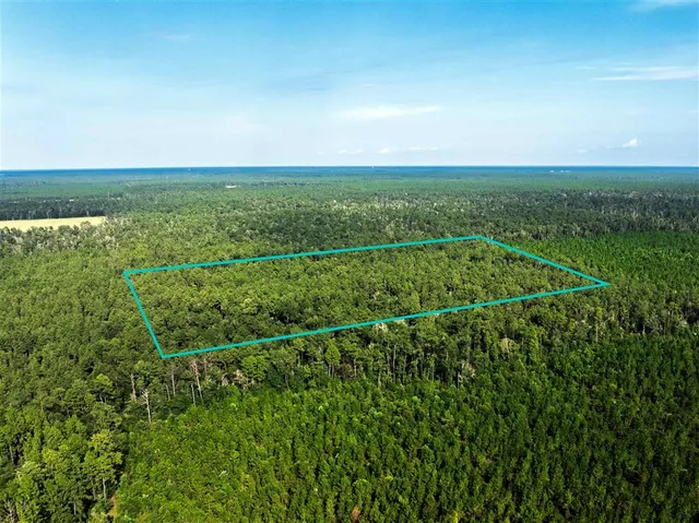 $50,000 | 0 Hwy 389 Dequincy La, Singer, LA 70660