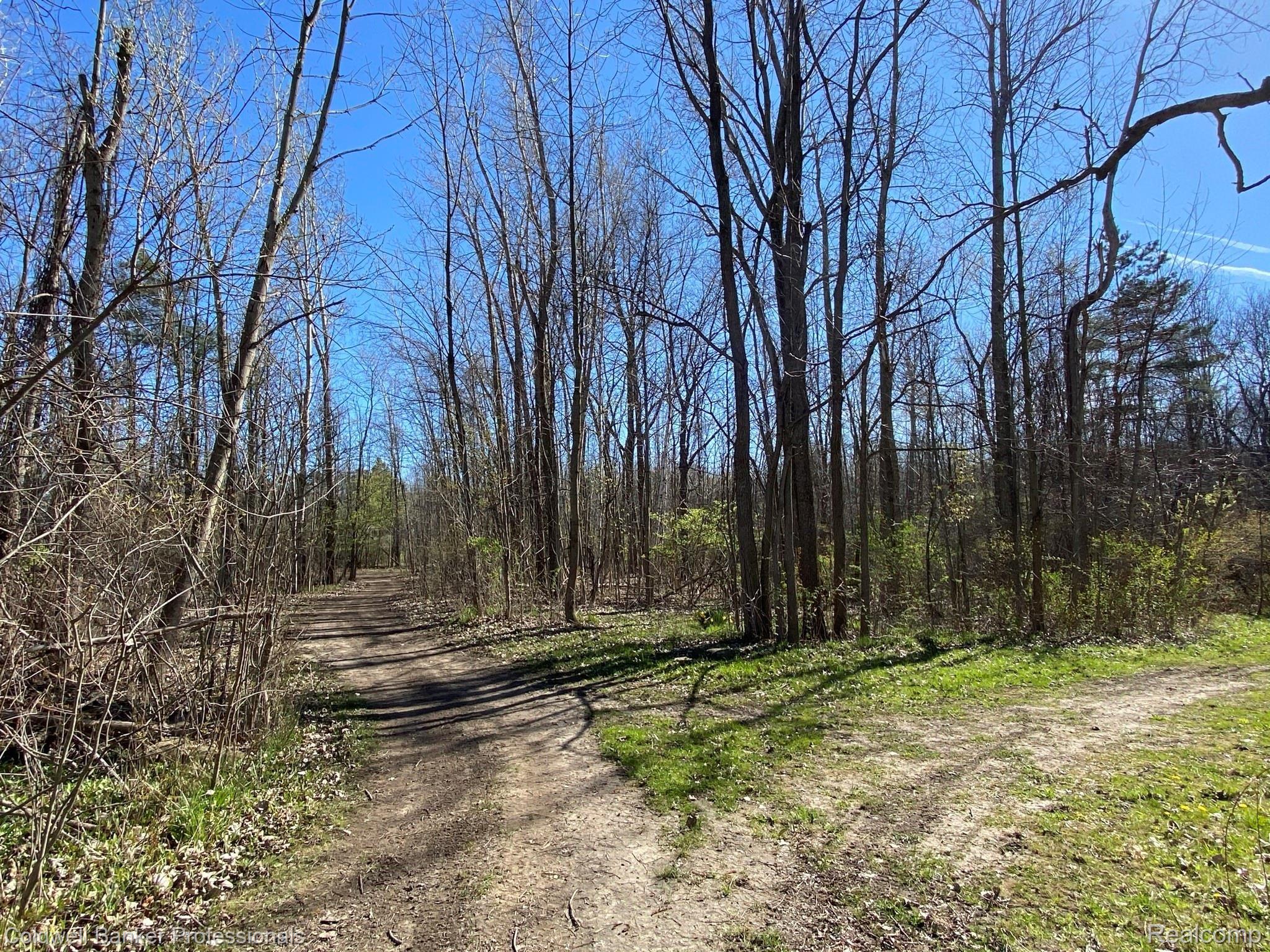 4870 Lum Road Attica, MI 48412 - Photo 38 of 44 IMG_4401.JPEG