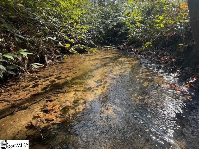 550 Pine Mountain Road Tamassee, SC 29686 - Photo 20 of 34