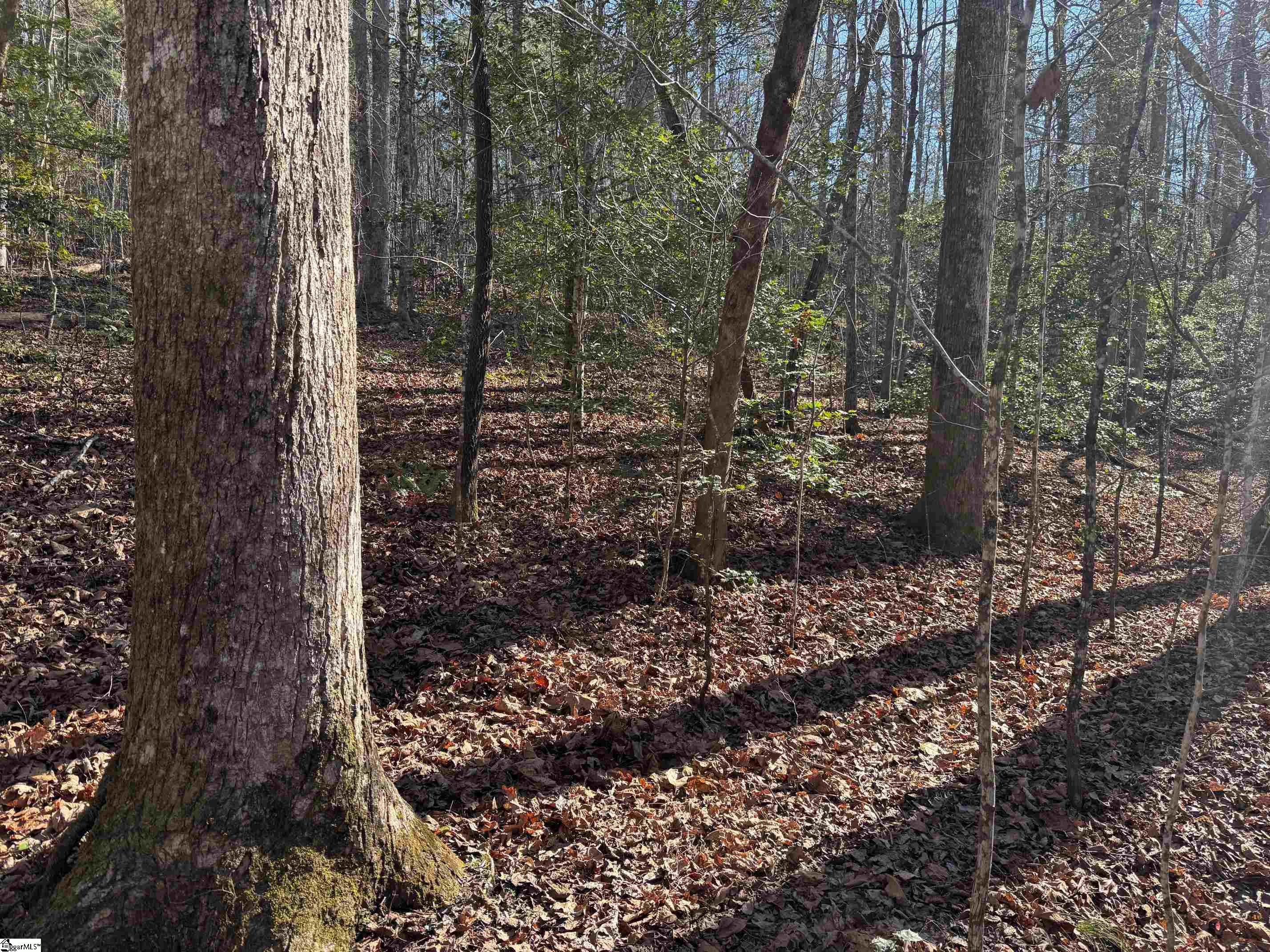 550 Pine Mountain Road Tamassee, SC 29686 - Photo 21 of 34