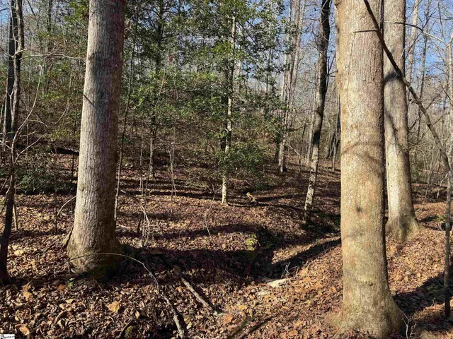 $725,000 | 550 Pine Mountain Road, Tamassee, SC 29686