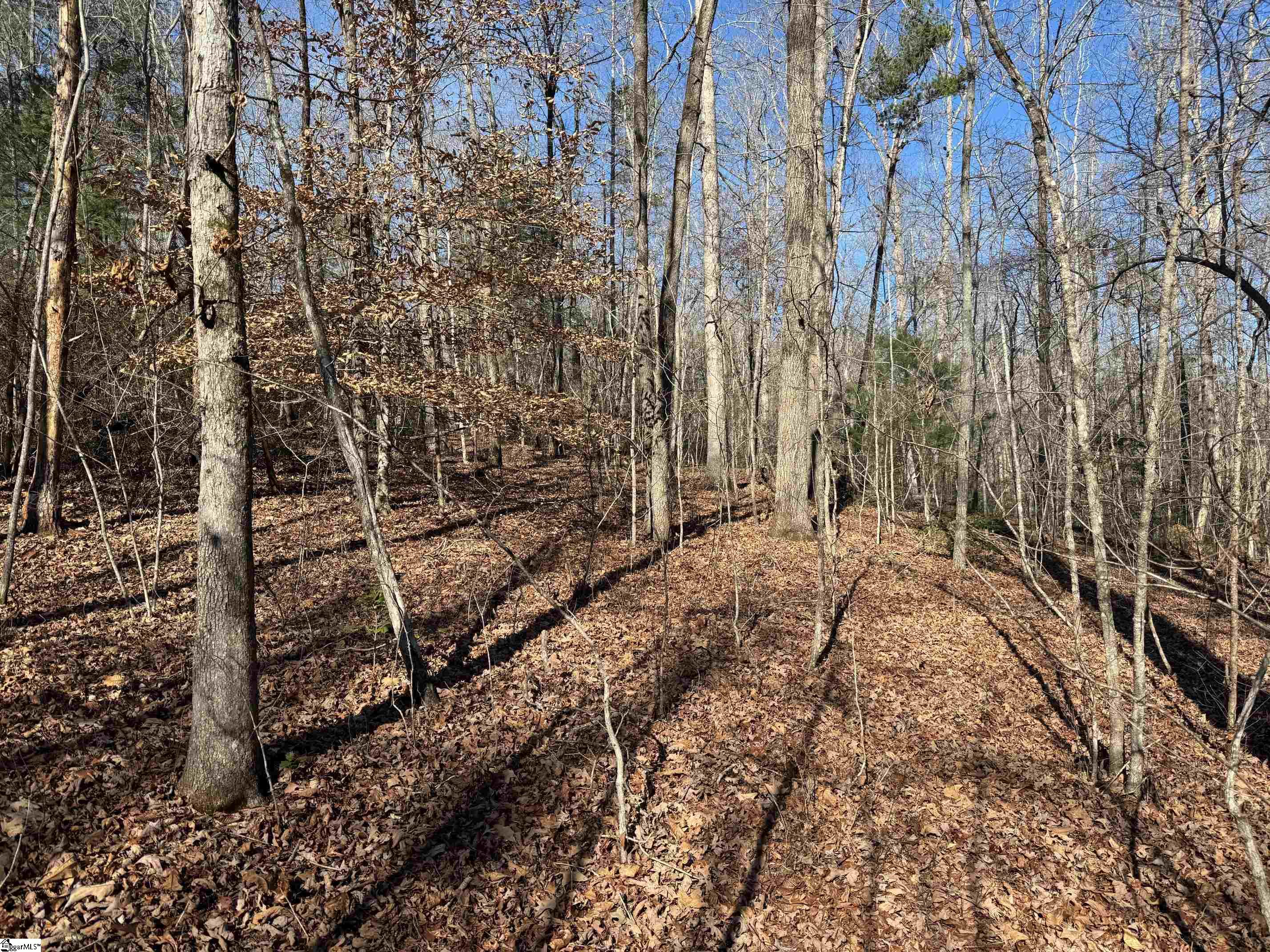 550 Pine Mountain Road Tamassee, SC 29686 - Photo 23 of 34