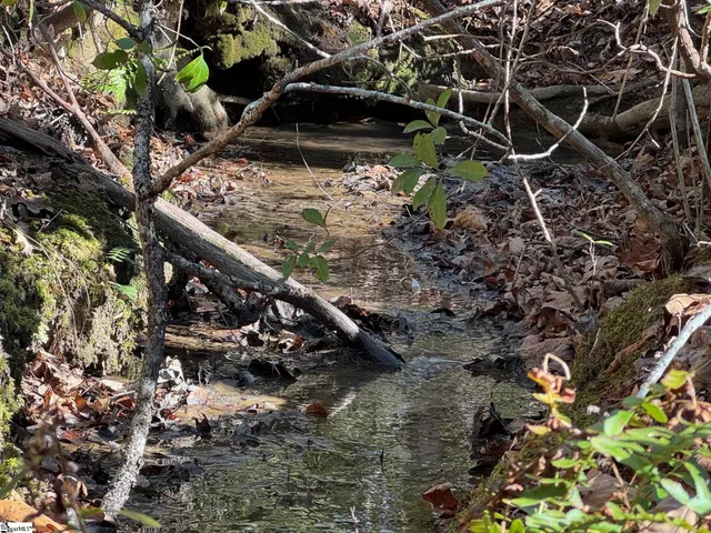 $725,000 | 550 Pine Mountain Road, Tamassee, SC 29686