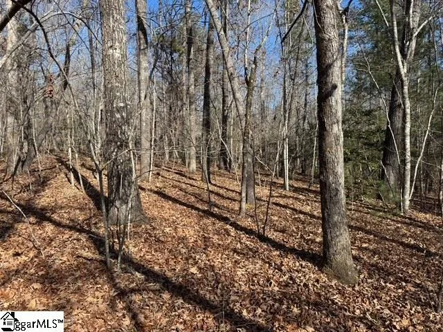 $725,000 | 550 Pine Mountain Road, Tamassee, SC 29686