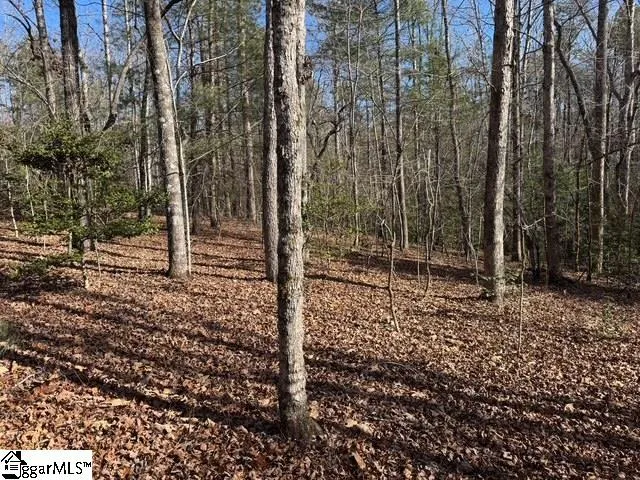 $725,000 | 550 Pine Mountain Road, Tamassee, SC 29686