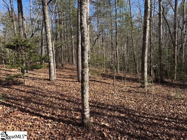 550 Pine Mountain Road Tamassee, SC 29686 - Photo 26 of 34