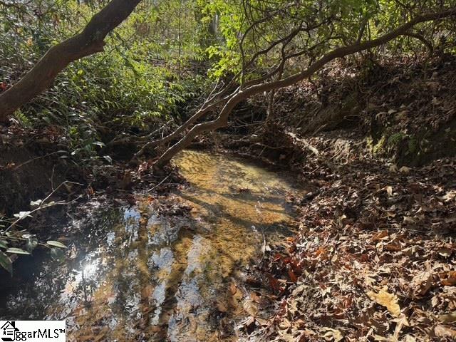 550 Pine Mountain Road Tamassee, SC 29686 - Photo 27 of 34