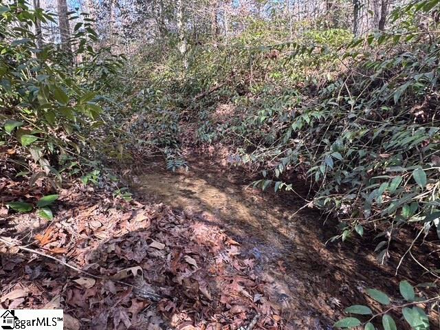 550 Pine Mountain Road Tamassee, SC 29686 - Photo 28 of 34