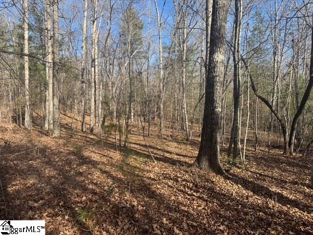 550 Pine Mountain Road Tamassee, SC 29686 - Photo 29 of 34