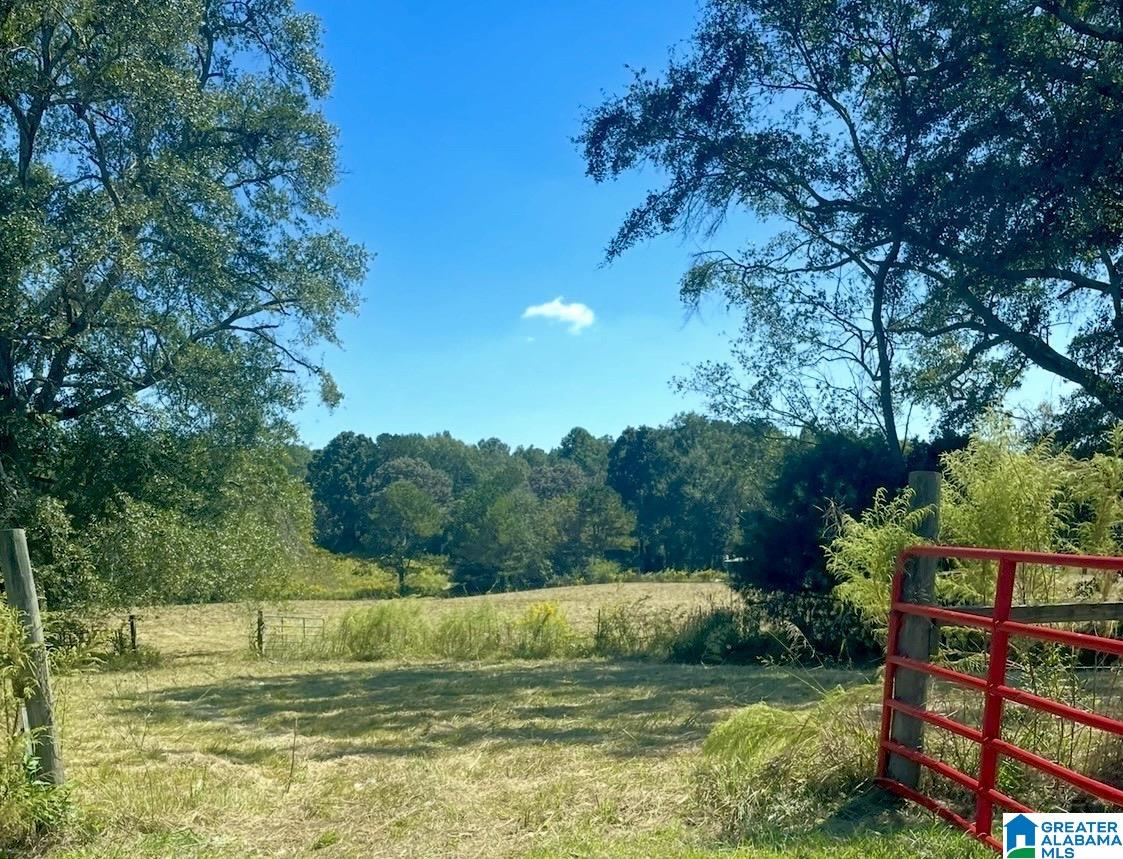 1749 McCollum Church Road Lineville, AL 36266 - Photo 51 of 66