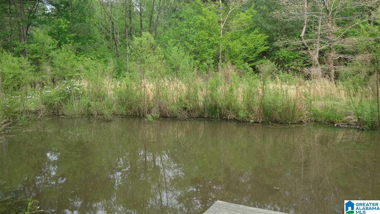0 Mudd Street Ohatchee, AL 36271 - Photo 8 of 20