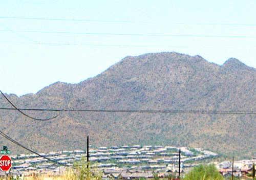 16 West Irvine Road, Unit EAST Phoenix, AZ 85086 - Photo 1 of 2 Primary Photo