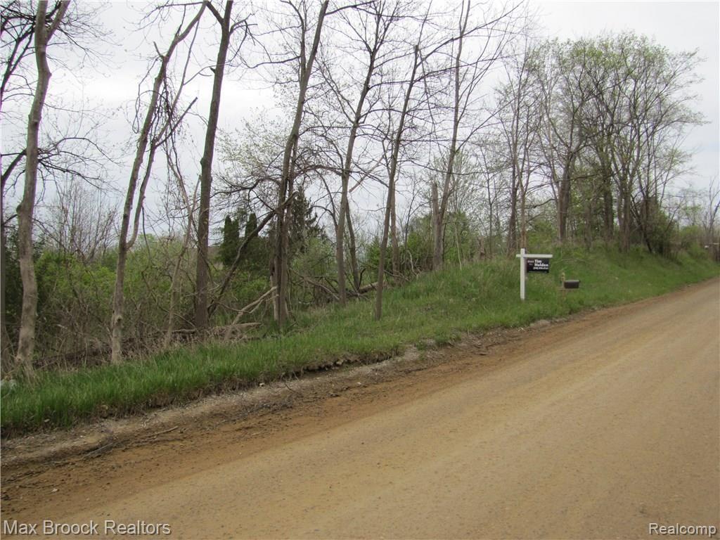 0 Currie Road South Lyon, MI 48178 - Photo 1 of 4