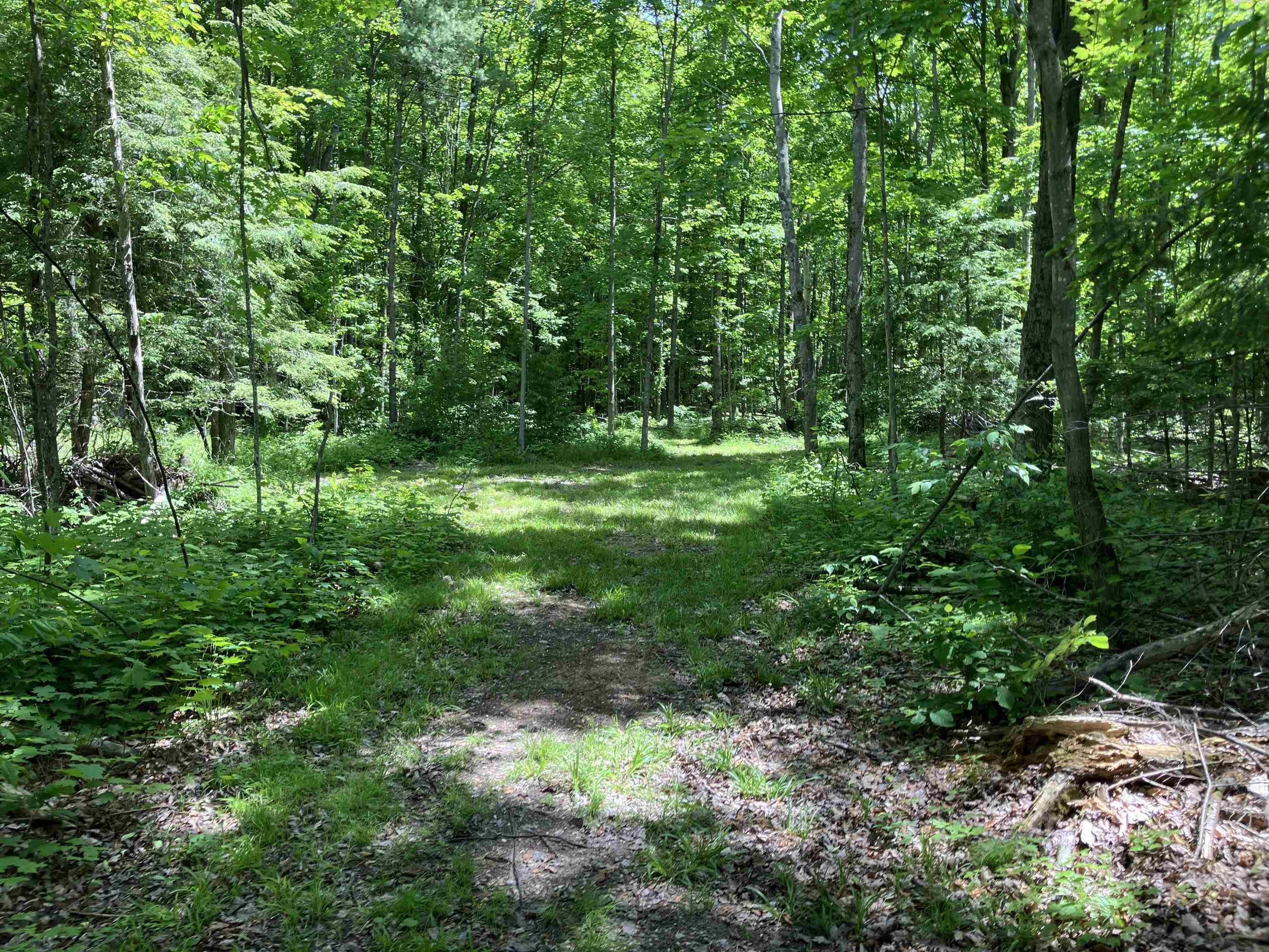 0 Cemetery Road Mancelona, MI 49659 - Photo 15 of 25