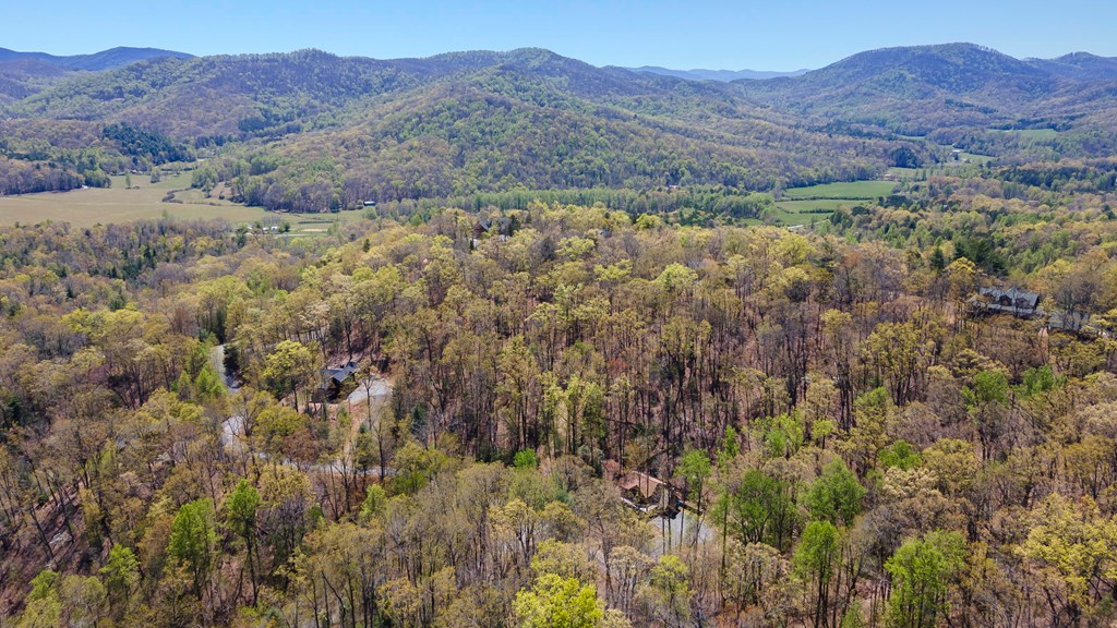 455 Shepherds Walk Morganton, GA 30560 - Photo 40 of 46 Gallery Image 40