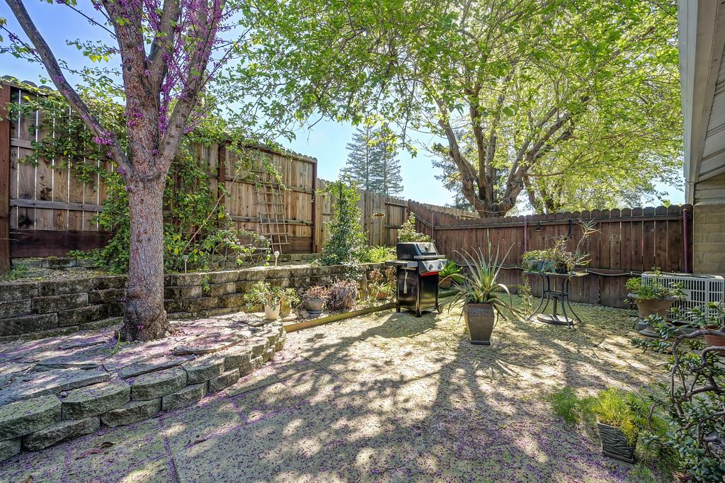 1172 Ravine View Drive Roseville, CA 95661 - Photo 24 of 24