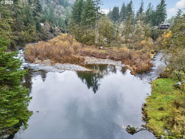 a view of a house in a forest
