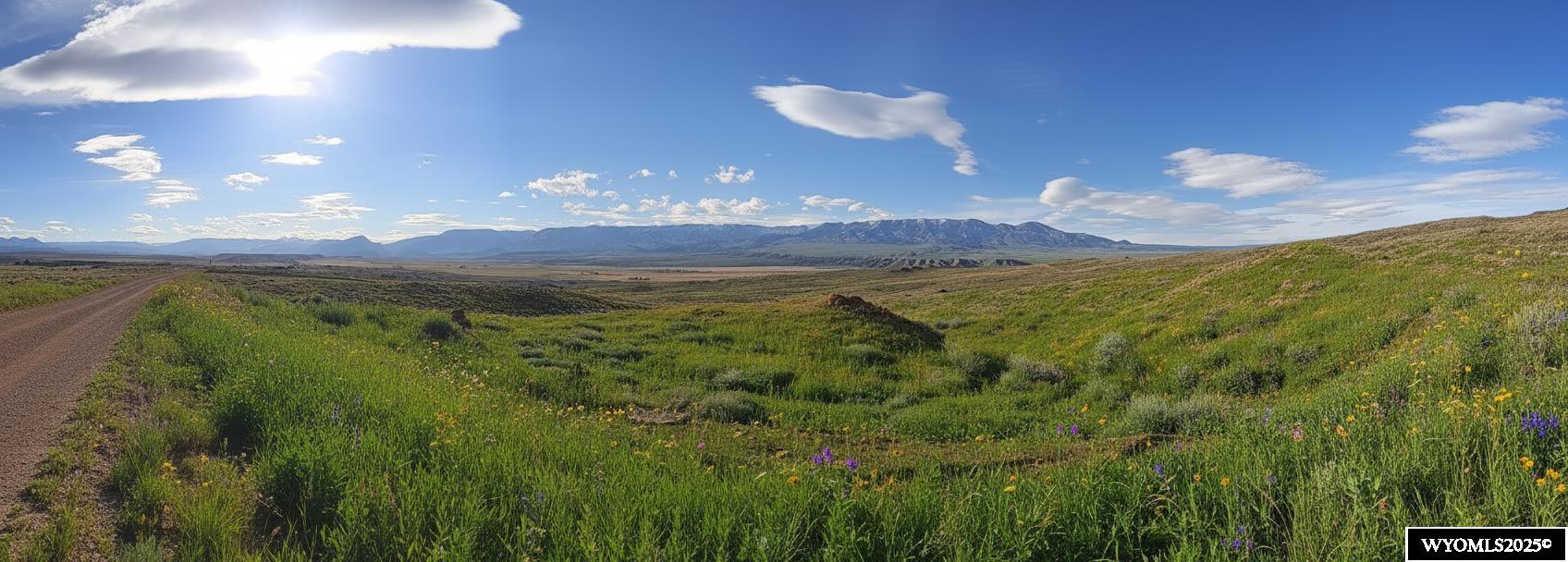 52 Ridgeland Road Powell, WY 82435 - Photo 7 of 12