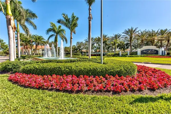 a garden with flowers and flowers