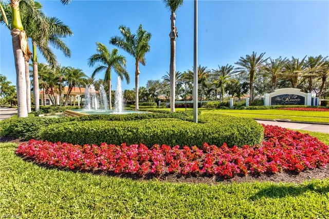 a garden with flowers and flowers