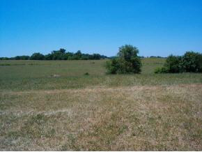 288 Leesburg Road, Unit 2 Telford, TN 37690 - Photo 3 of 9 Photo 3