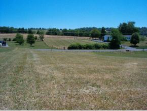 288 Leesburg Road, Unit 2 Telford, TN 37690 - Photo 4 of 9 Photo 4